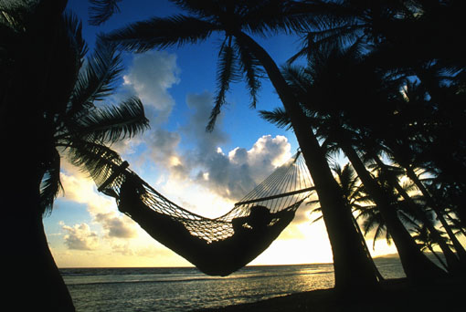 Hammock.jpg (48492 bytes)