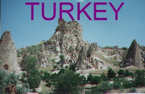 turkey1.JPG (34521 bytes)